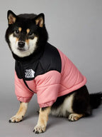 North Face Dog Jacket