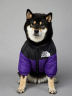 North Face Dog Jacket