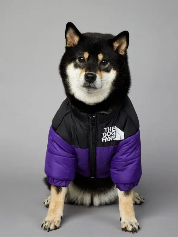 North Face Dog Jacket