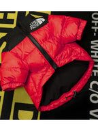 North Face Dog Jacket