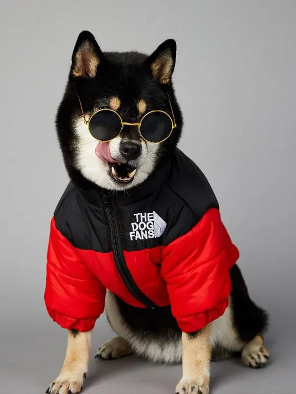 North Face Dog Jacket