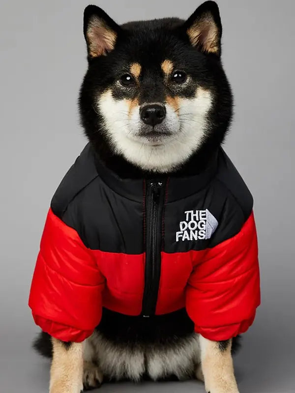 North Face Dog Jacket