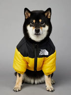 North Face Dog Jacket