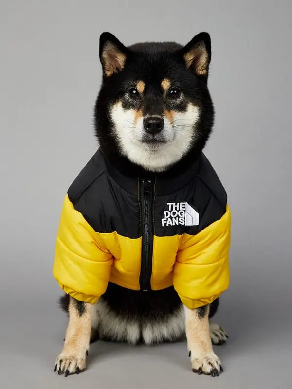 North Face Dog Jacket