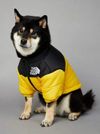 North Face Dog Jacket