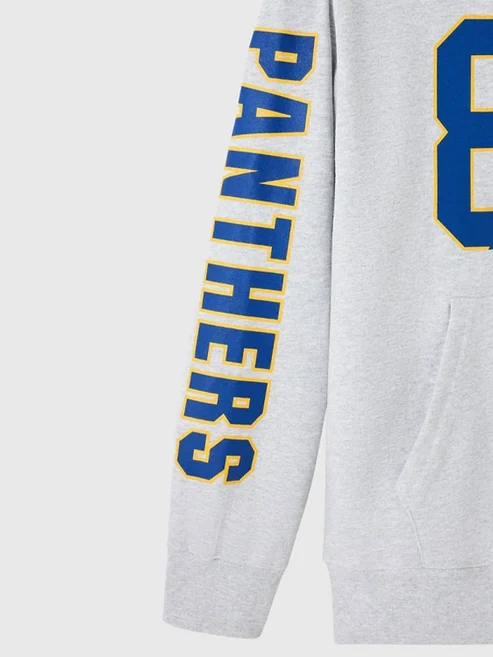 Ovo Degrassi Grey Hoodie