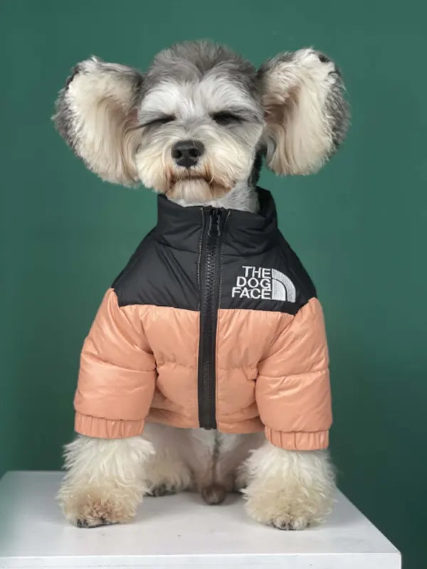 North Face Dog Jacket