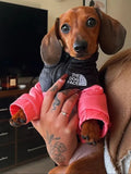 Pink North Face Dog Jacket