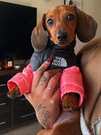 Pink North Face Dog Jacket