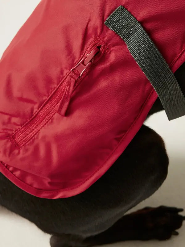 Regatta Waterproof Dog Jacket