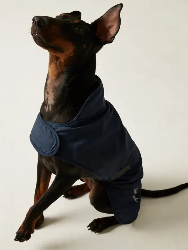 Regatta Waterproof Dog Jacket