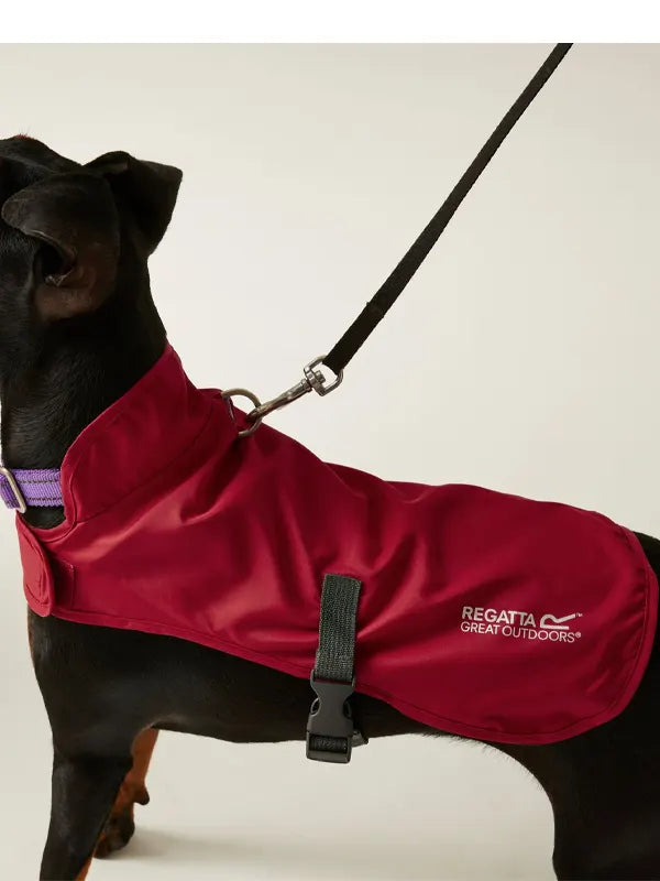 Regatta Waterproof Dog Jacket