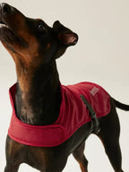 Regatta Waterproof Dog Jacket