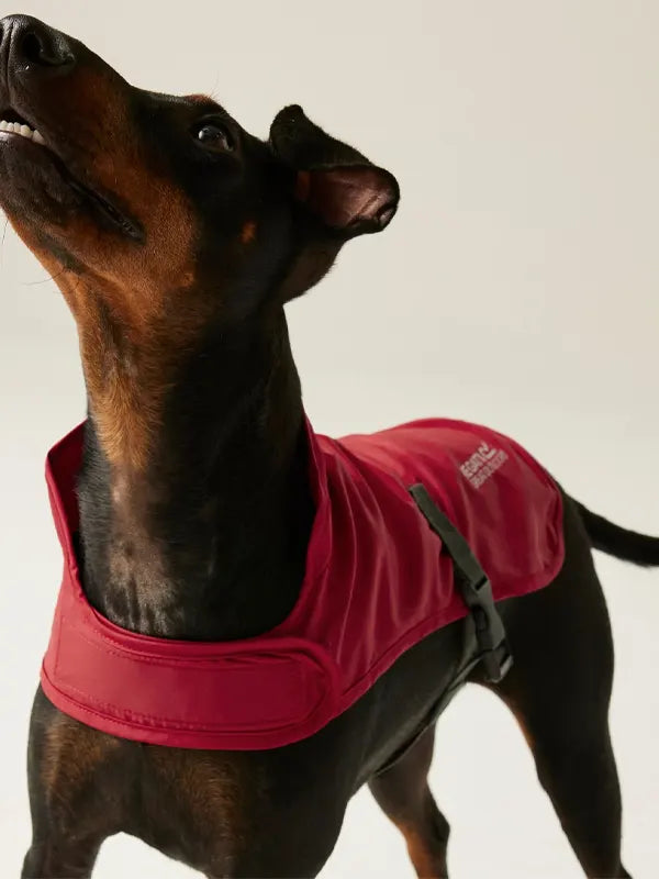 Regatta Waterproof Dog Jacket