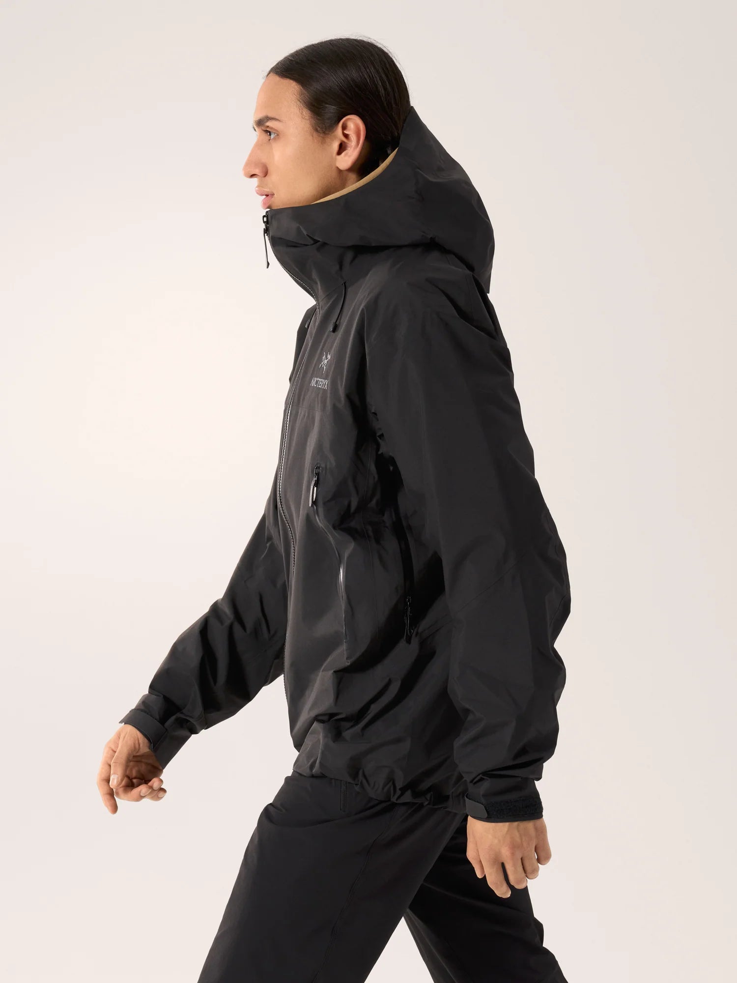 Arcteryx Beta AR Jacket Stormhood