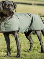 Waterproof Dog Jacket