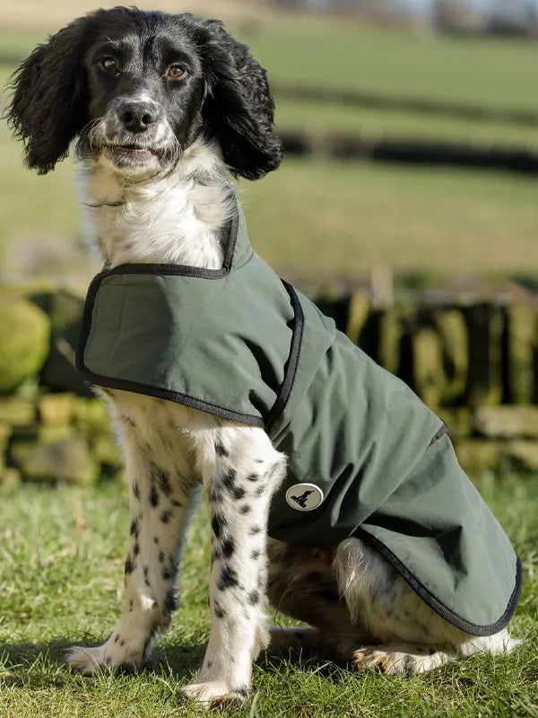 Waterproof Dog Jacket