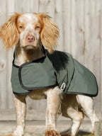 Waterproof Dog Jacket