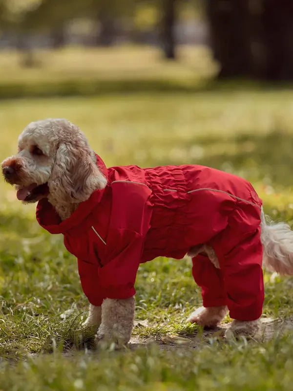 Waterproof Dog Jacket