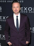 Aaron Paul Suits